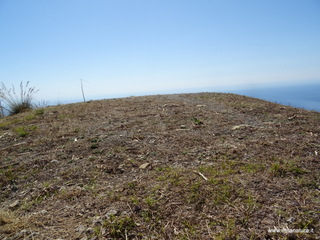 nte Venere-30-07-2020 09
